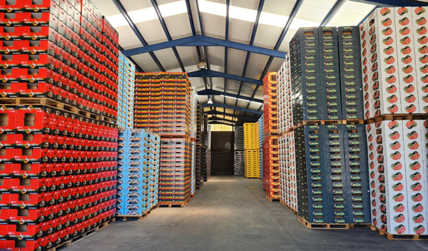 almacen savi almacen savi